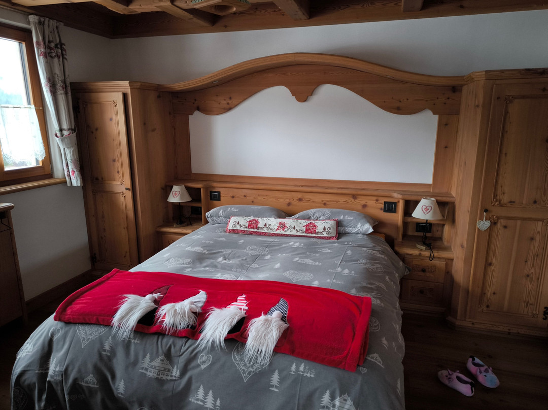 Solder Chalet Dolomiti主图