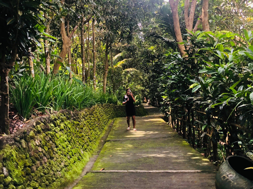 Kawa-Kawa Hill and Natural Park-Ligao必去景点