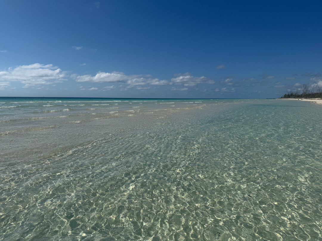 Gold Rock Beach景点图片