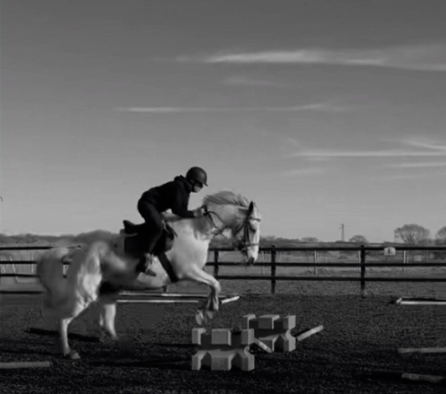 Montys Equestrian Centre景点图片