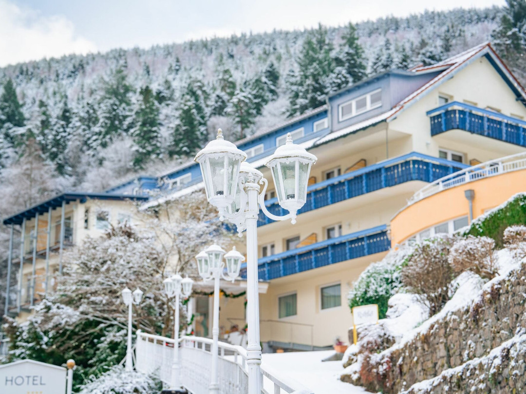 Wellnesshotel Rothfuss主图