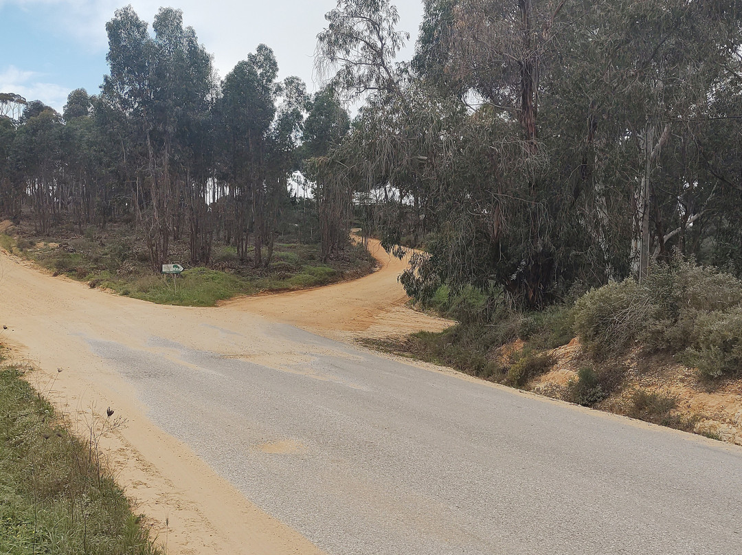 Complejo Turistico Rural Nazaret De Moguer主图