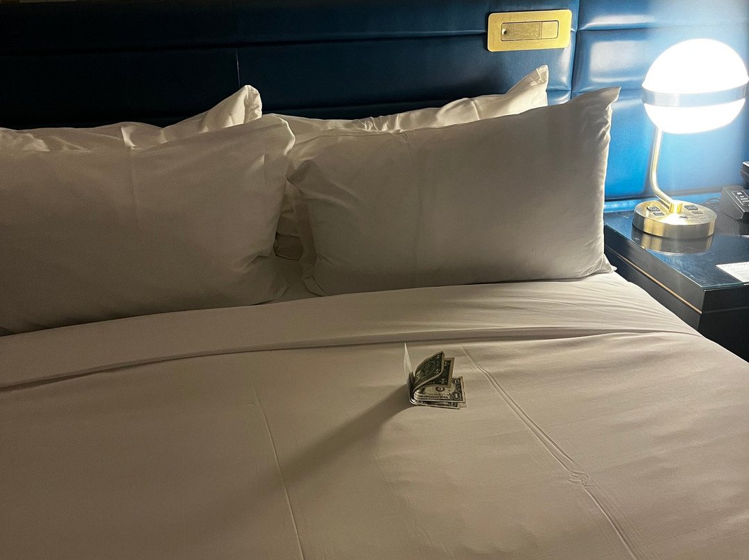 拉斯维加斯大都会酒店主图