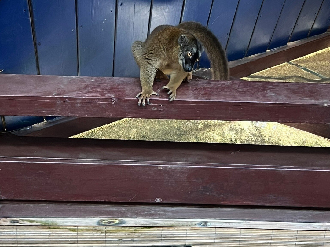 Le Jardin Maore-Kanikeli必去景点