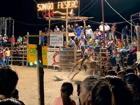 Offshore Auténtico Surf And Tours-塔马林多必去景点