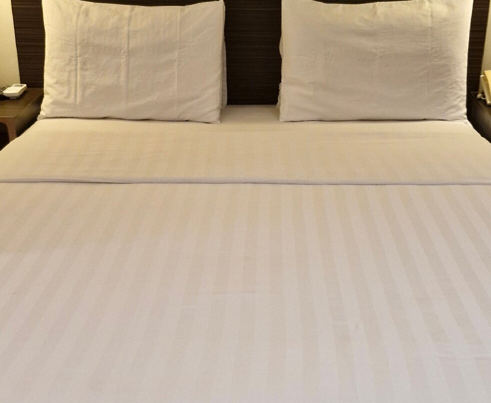 Brits Hotel Pangkalan Bun主图