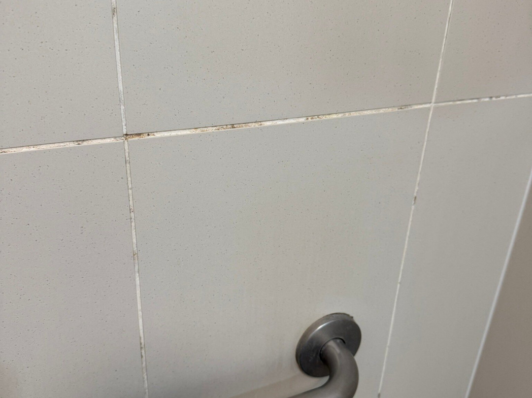 The Summit Apartments主图