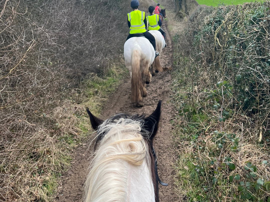 Derbyshire Pony Trekking-Mansfield必去景点