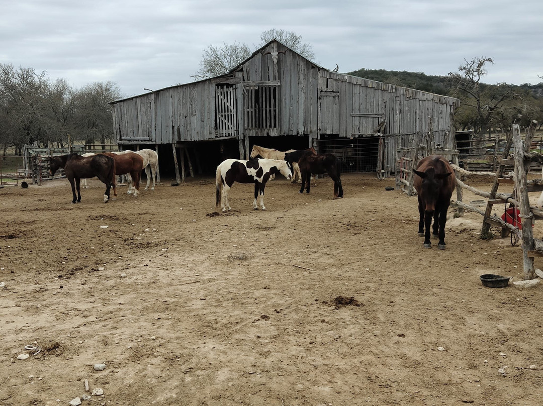 Dixie Dude Ranch-Bandera必去景点