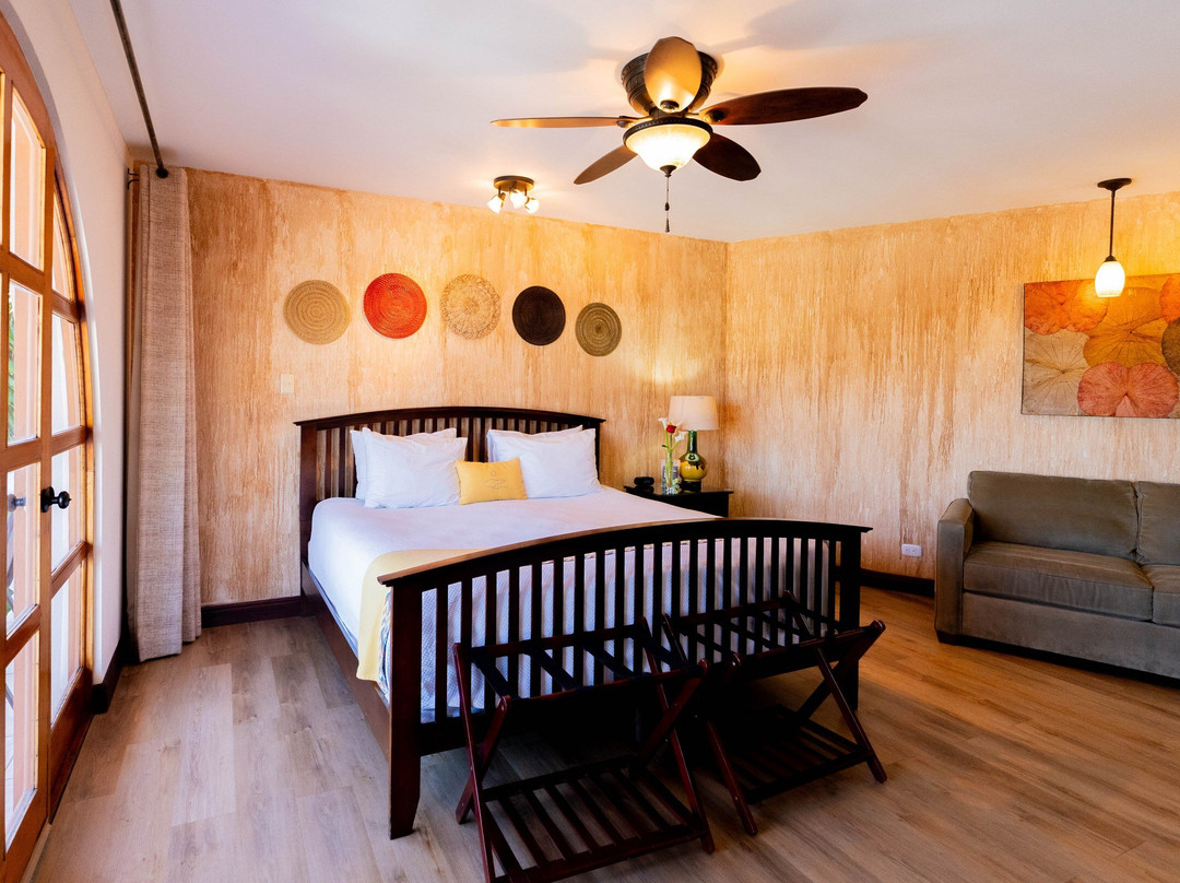 Buena Vista Chic Hotel主图