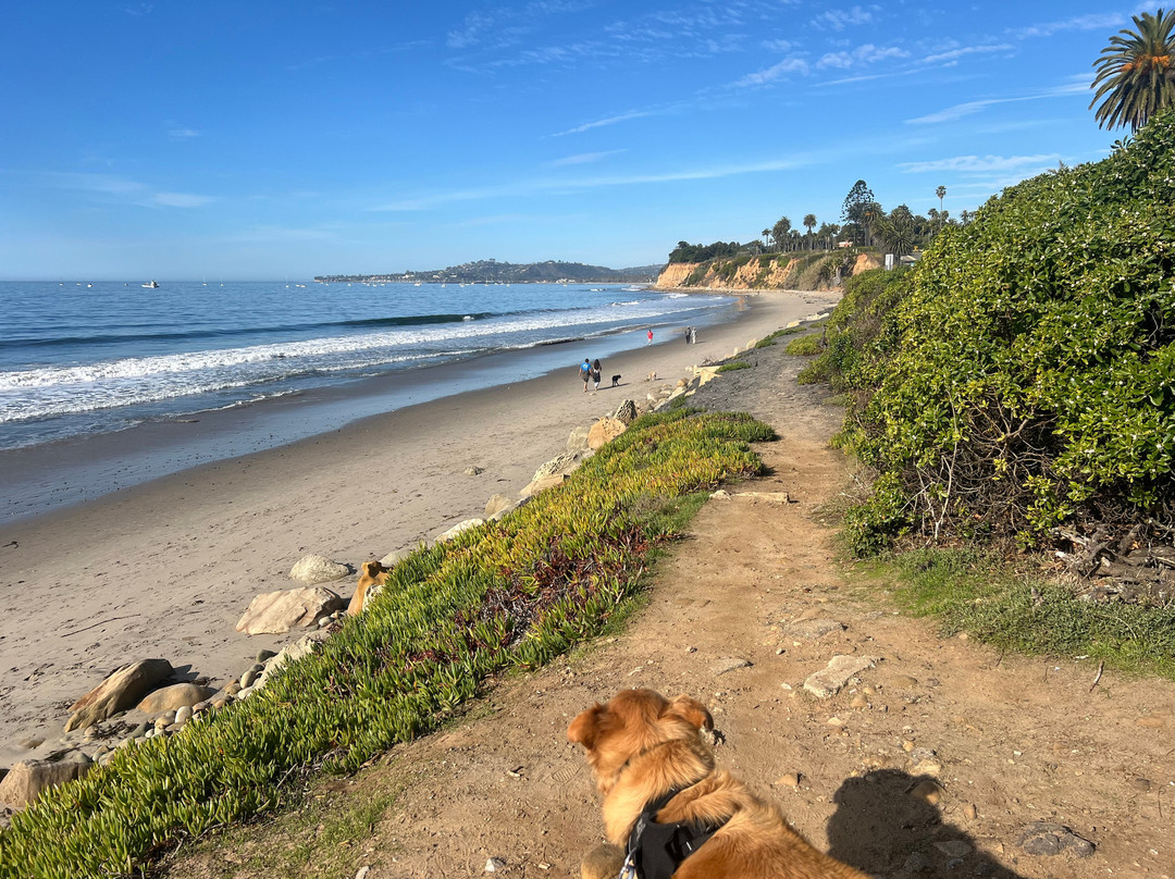 Butterfly Beach-蒙特西托必去景点