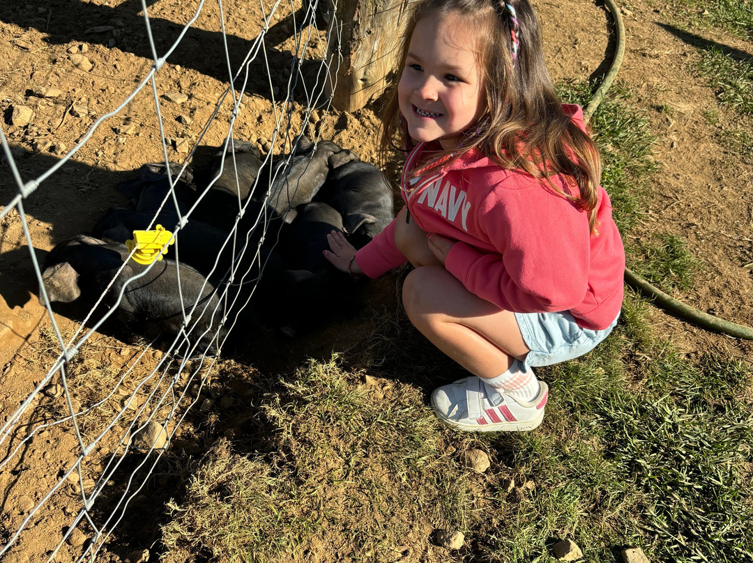 Belding Hill Farms-Hampton必去景点