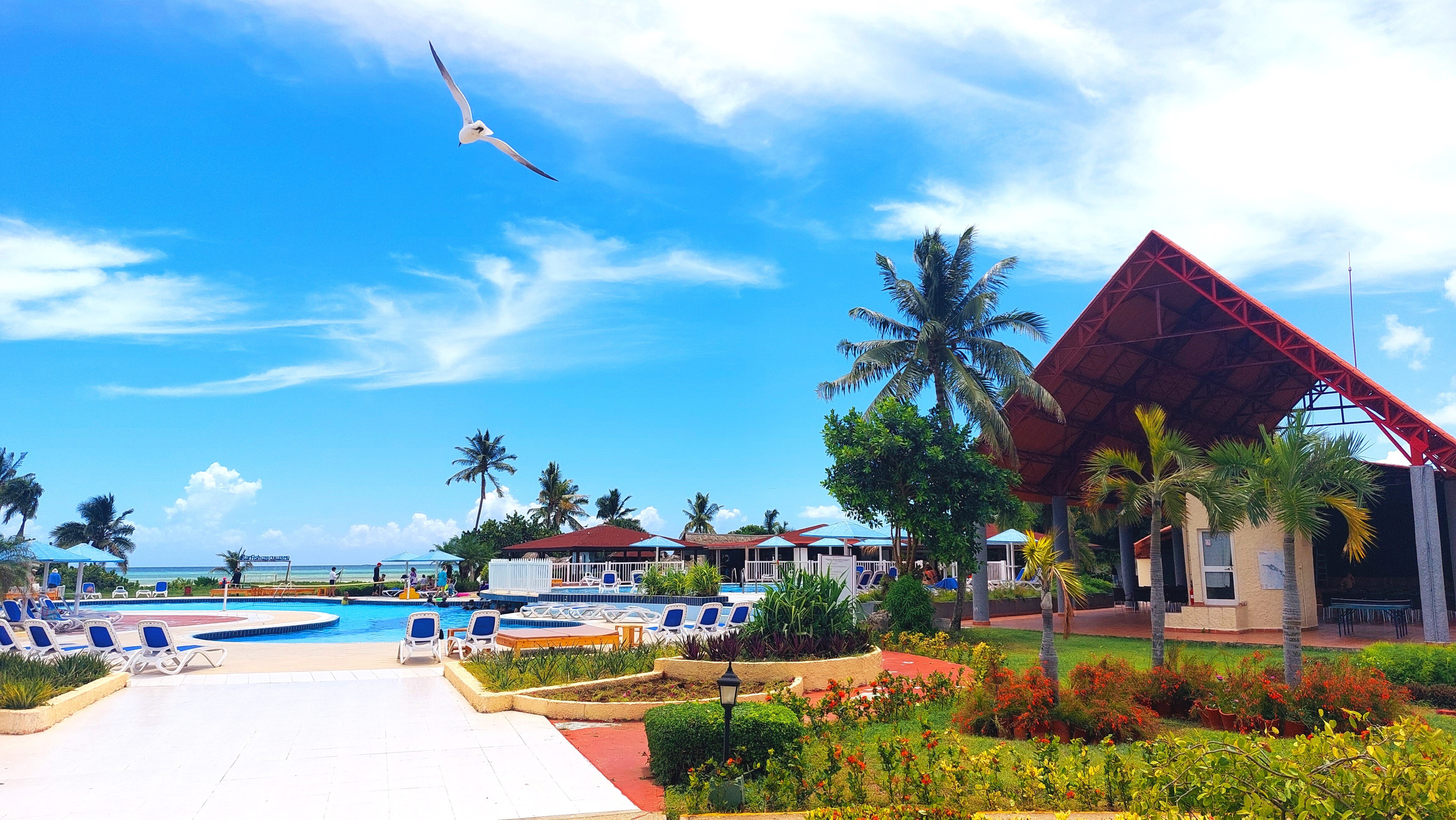 Starfish Cayo Guillermo-泳池