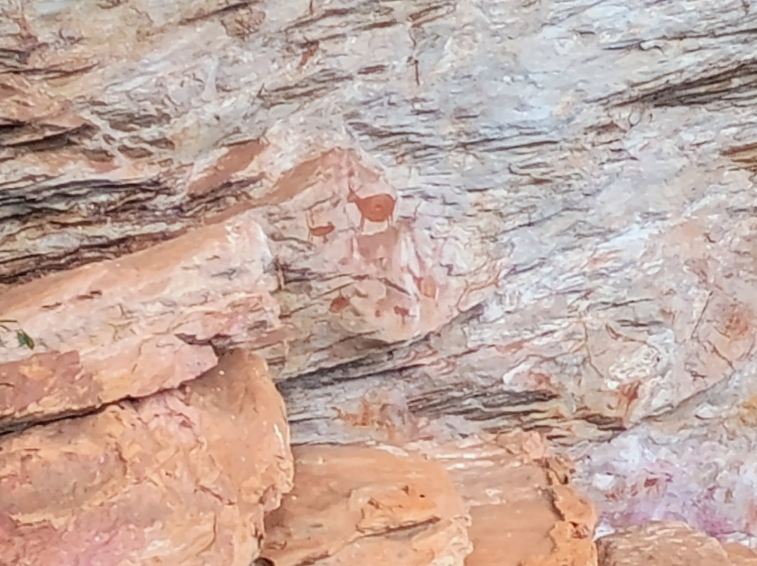Sítio Arqueológico da Pedra Pintada景点图片