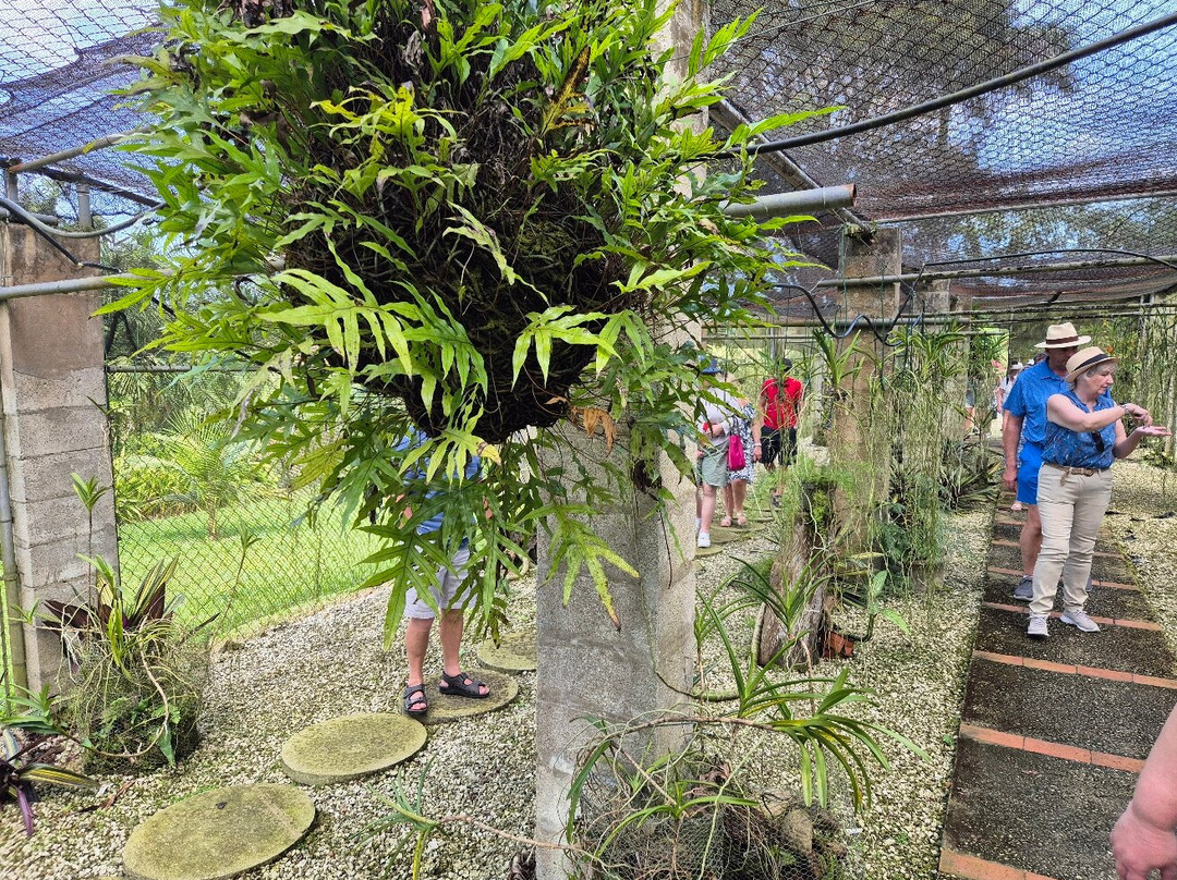 Tropical Garden Barbados-Saint George Parish必去景点