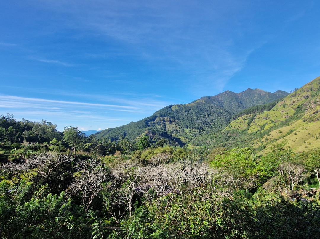 The Capoe House主图