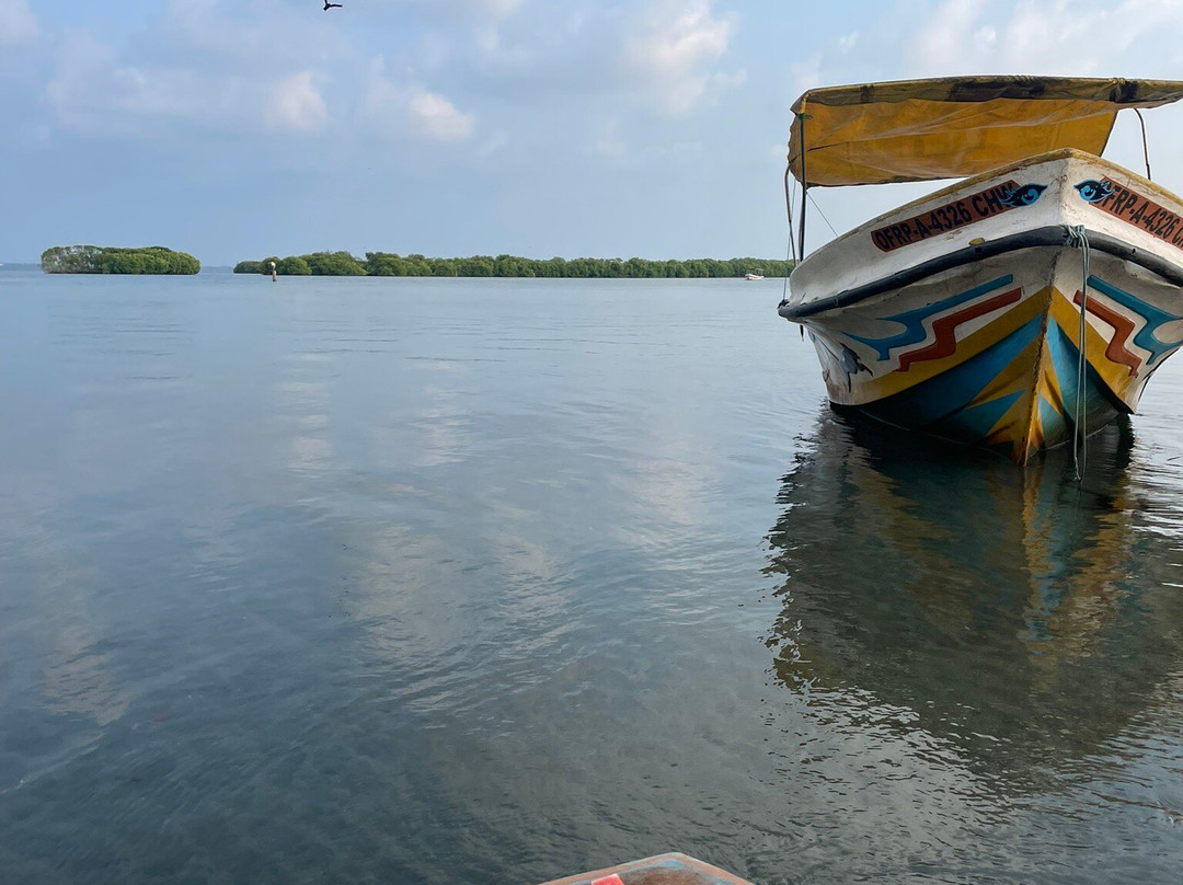 Negombo Lagoon-尼甘布必去景点