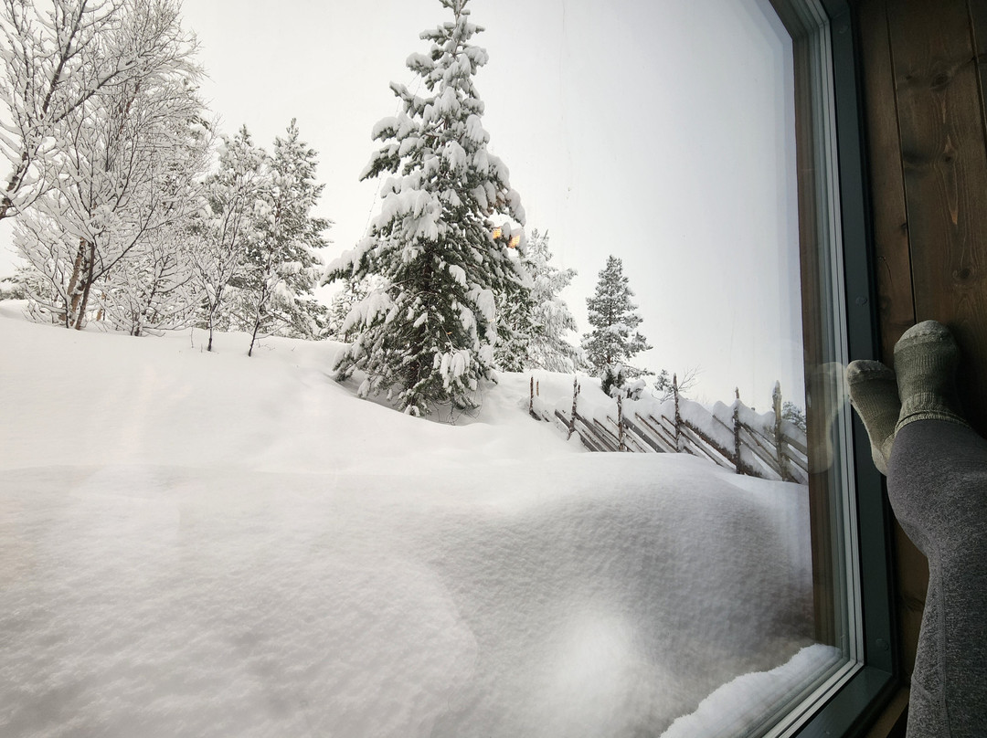 Bjornfjell Mountain Lodge主图