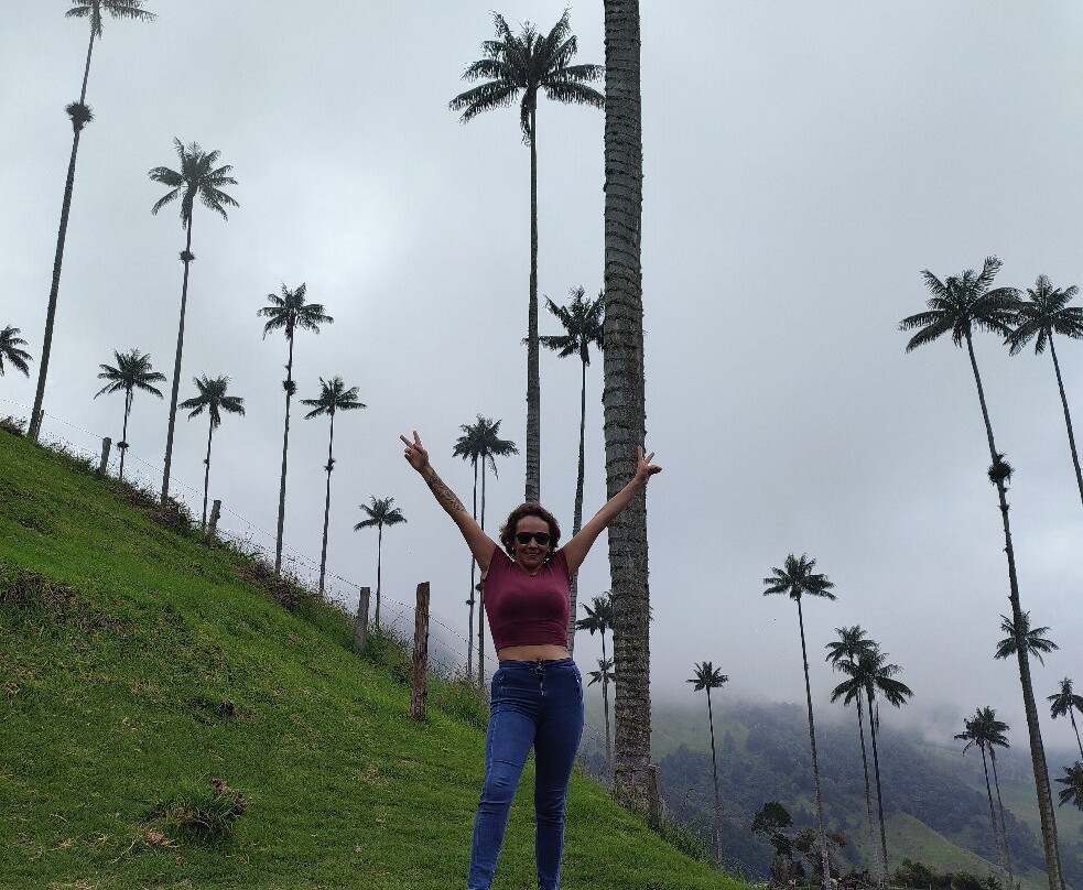 Bosques de Cocora-萨伦托必去景点