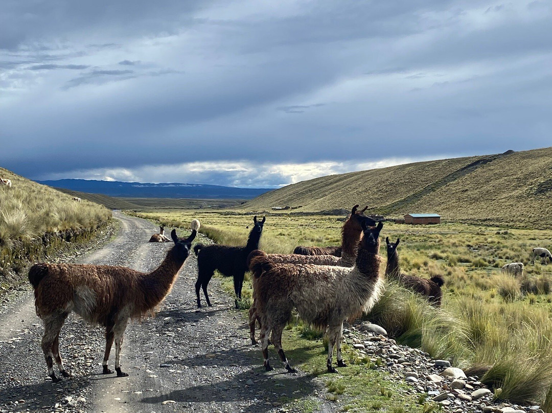 Explorando Bolivia-拉巴斯必去景点