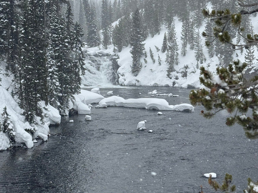 Scenic Safaris-杰克逊必去景点