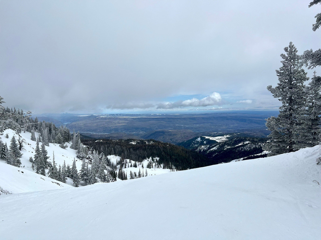 Avid Hotel Wenatchee By Ihg主图