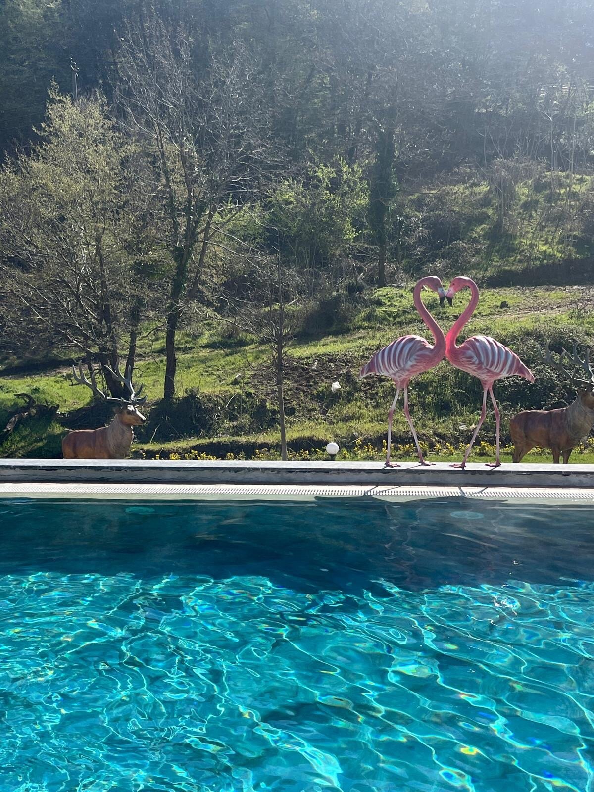 Vital Thermal Hotel & Spa-官方