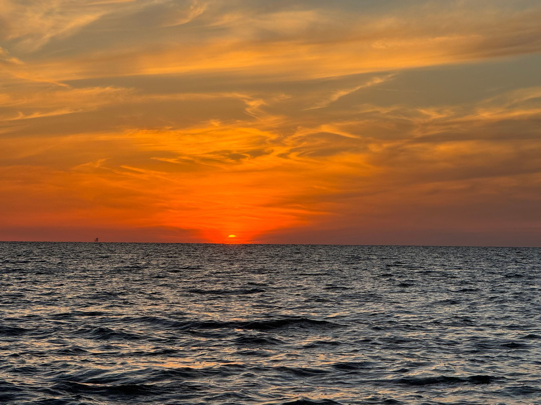 Marina Rose Cruises-Hernando Beach必去景点