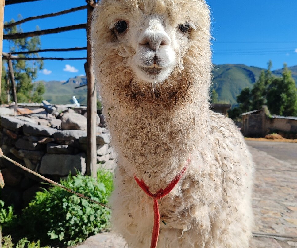 Góndola Tours-阿雷基帕必去景点