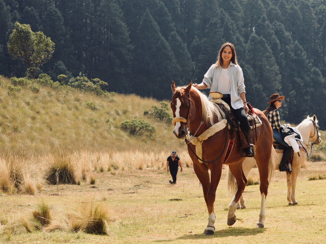 Entre Riendas Mx-Ocoyoacac必去景点