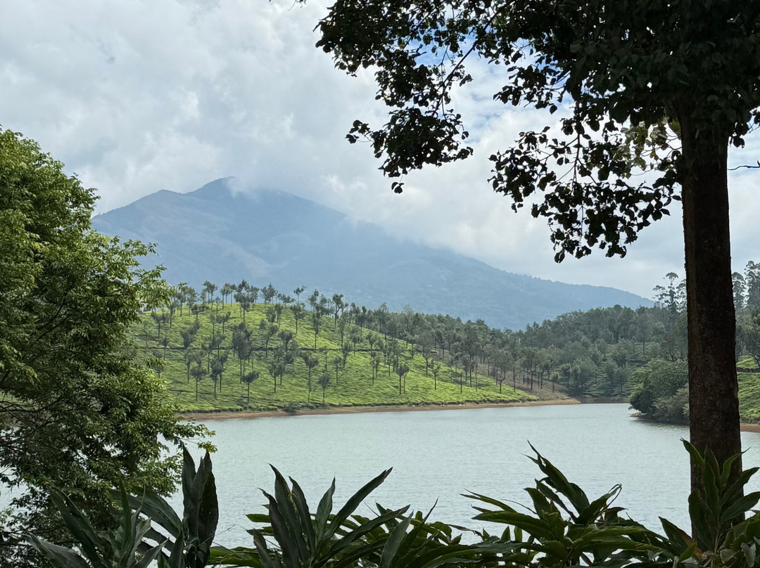 Kerala Taxis景点图片
