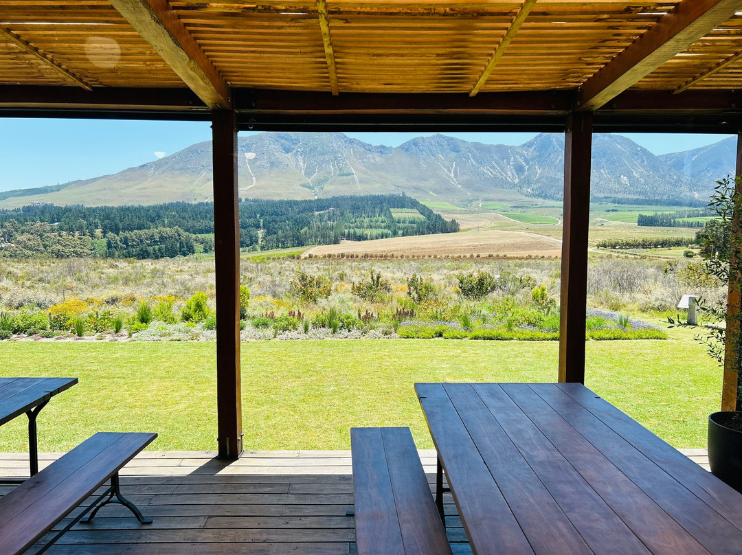 Bosman Hermanus | Frame House-赫曼努斯必去景点