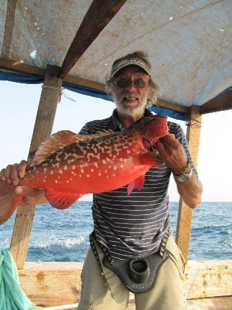 Drifters Lodge主图