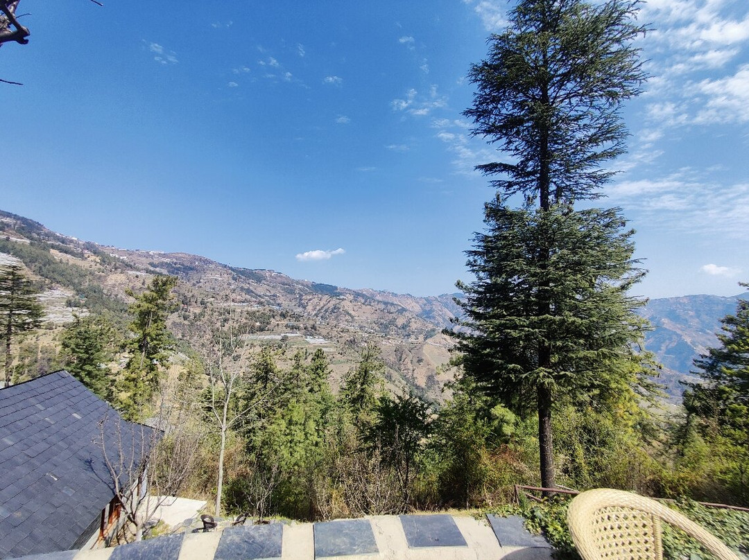 Wood Vista Cottages主图