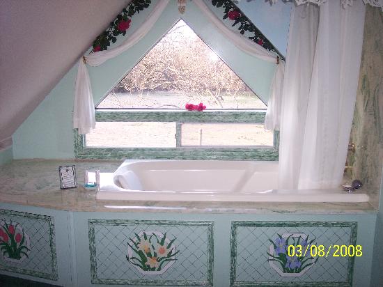 Windmill Bed and Breakfast-浴室