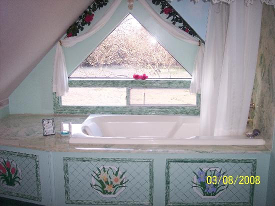 Windmill Bed and Breakfast主图