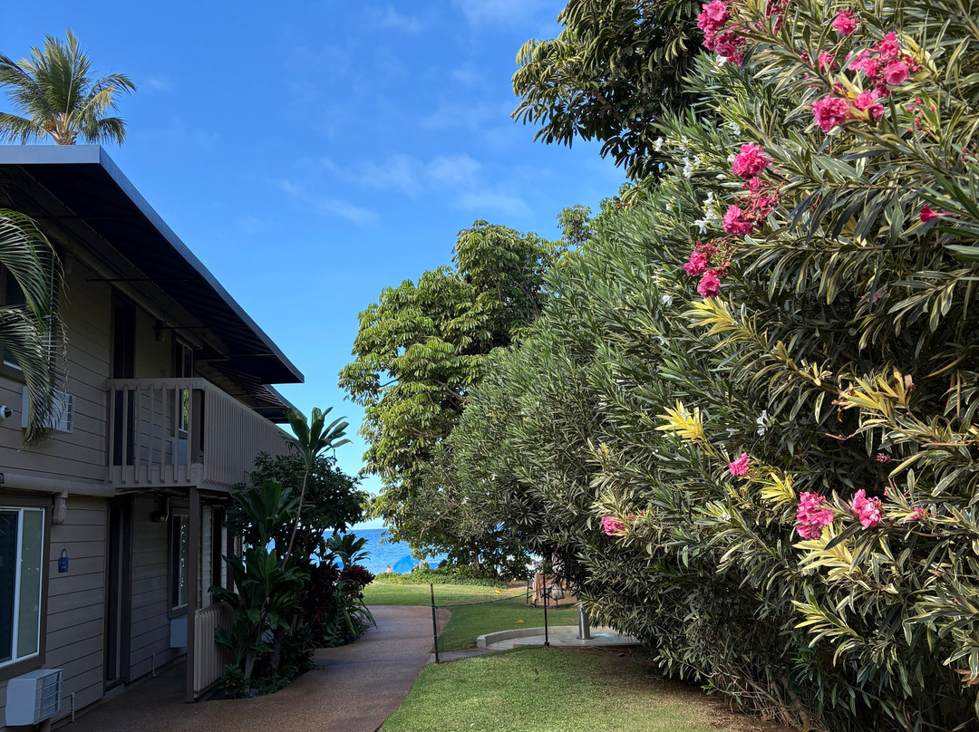茂宜岛海滨酒店主图