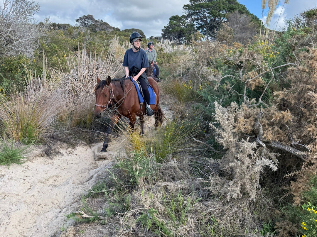 Waipu Horse Adventures-璜加雷必去景点