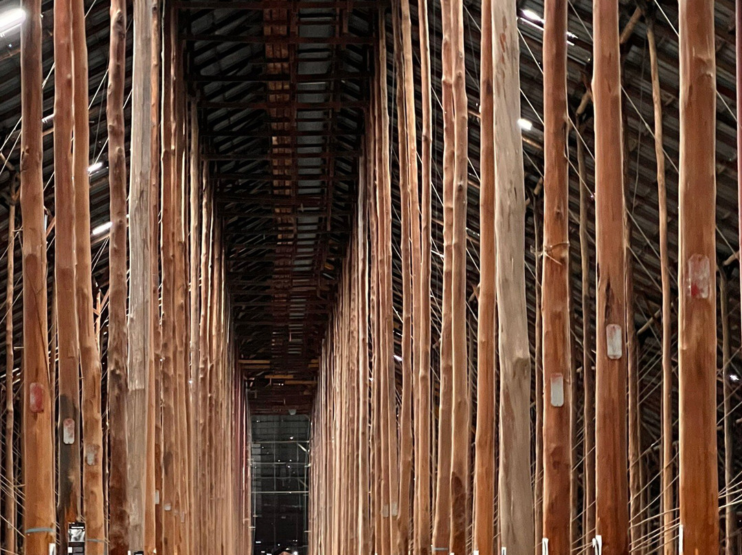 The Stick Shed at Murtoa景点图片