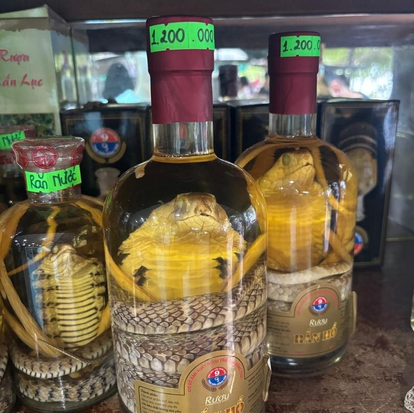 Mekong Cruises Tours-胡志明市必去景点