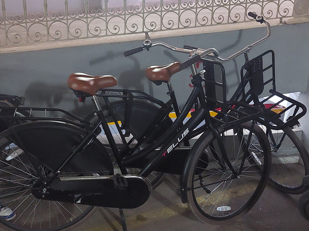 Kessh Bikes Tour Marrakech-马拉喀什必去景点