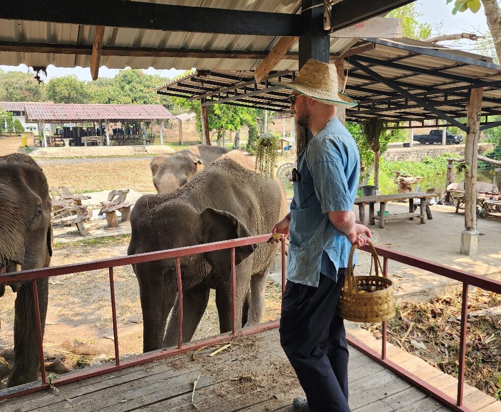 Lanna Kingdom Elephant Sanctuary-清迈必去景点