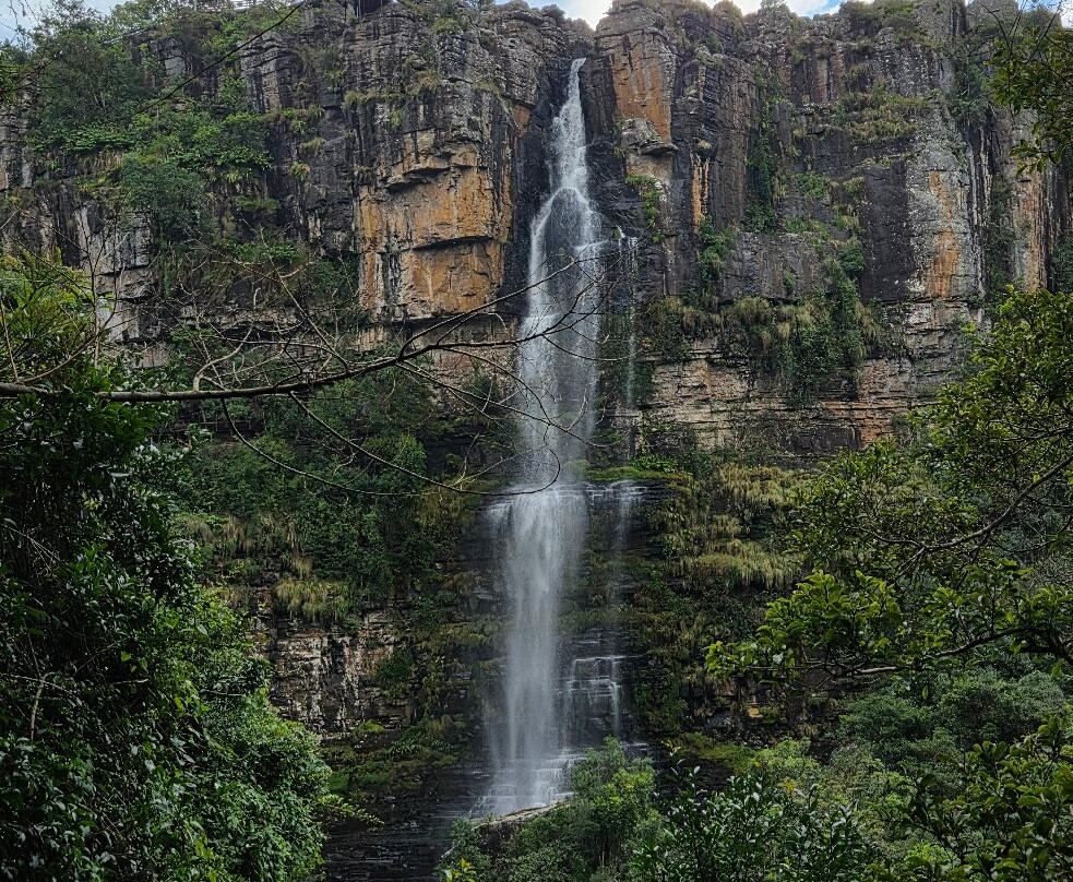 Graskop Gorge Lift Company景点图片