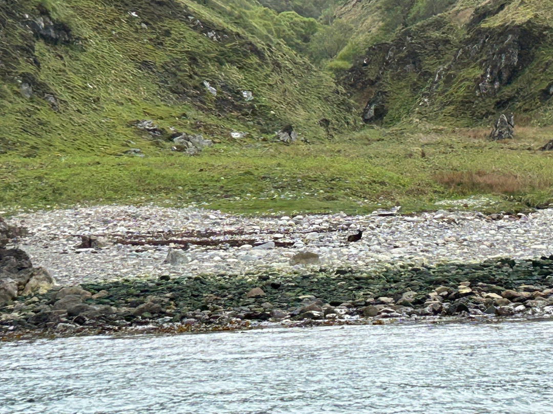 Sealife Adventures景点图片