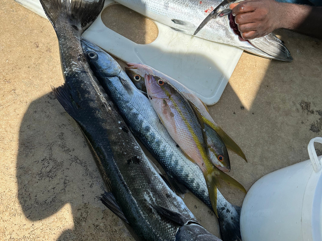 One Stop Sporting Shop-North Caicos必去景点