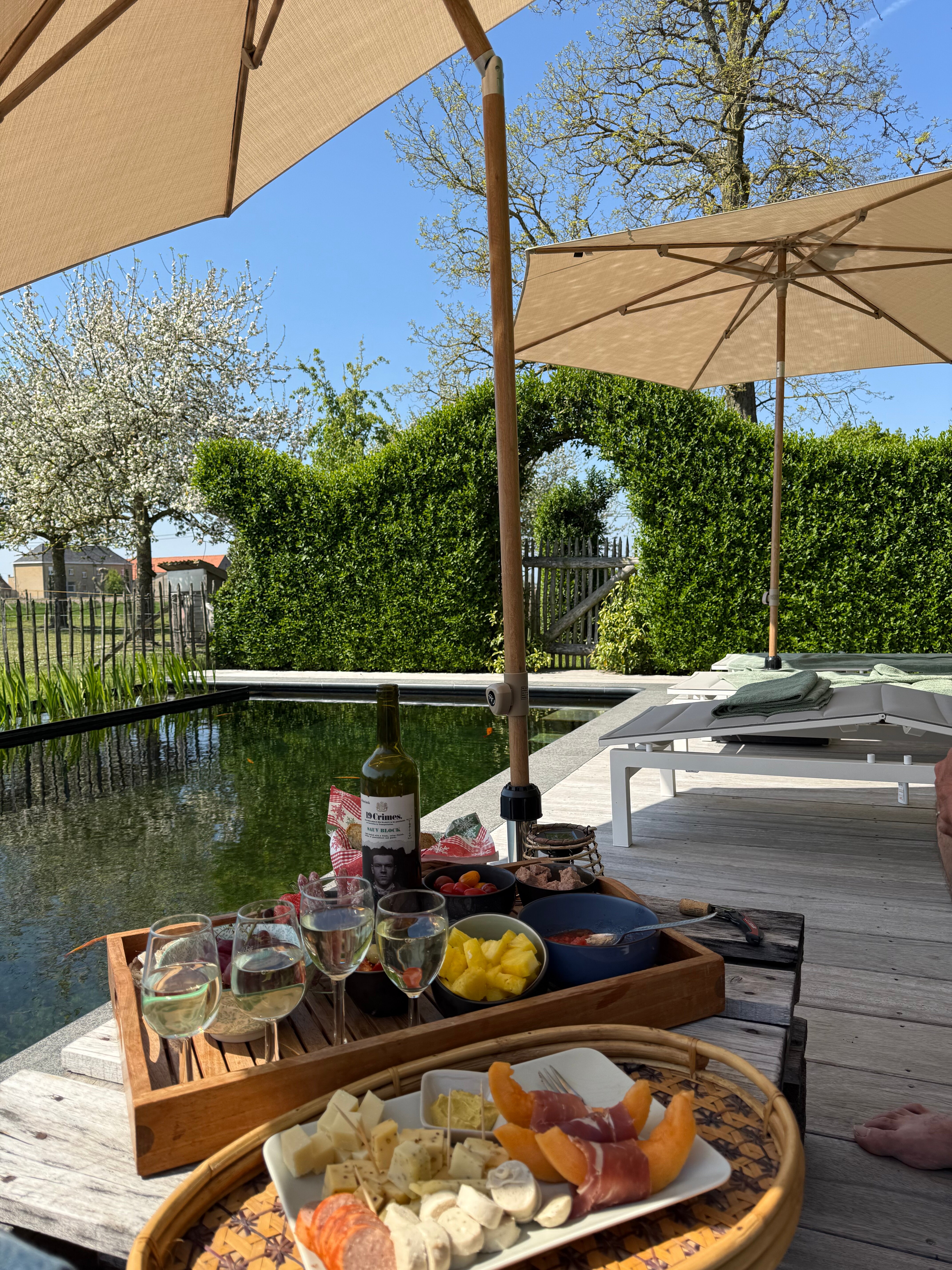 Hof ter Heebeke B&B-泳池