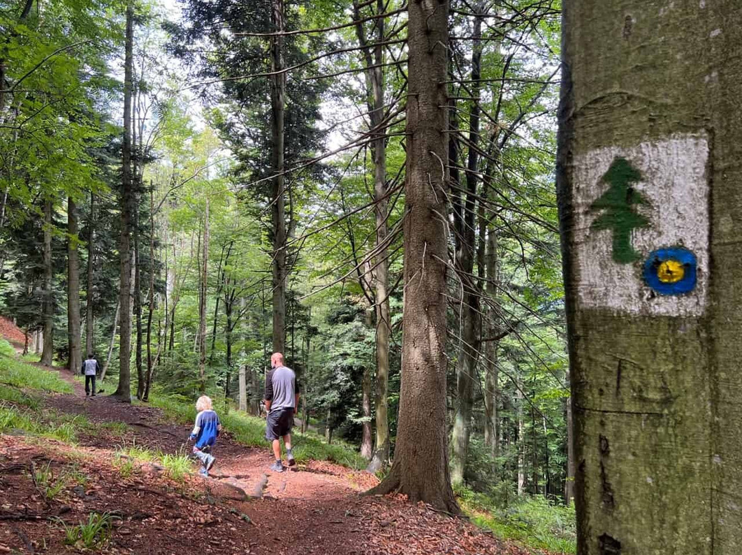 Rozka Forest Educational Trail-Pohorje必去景点