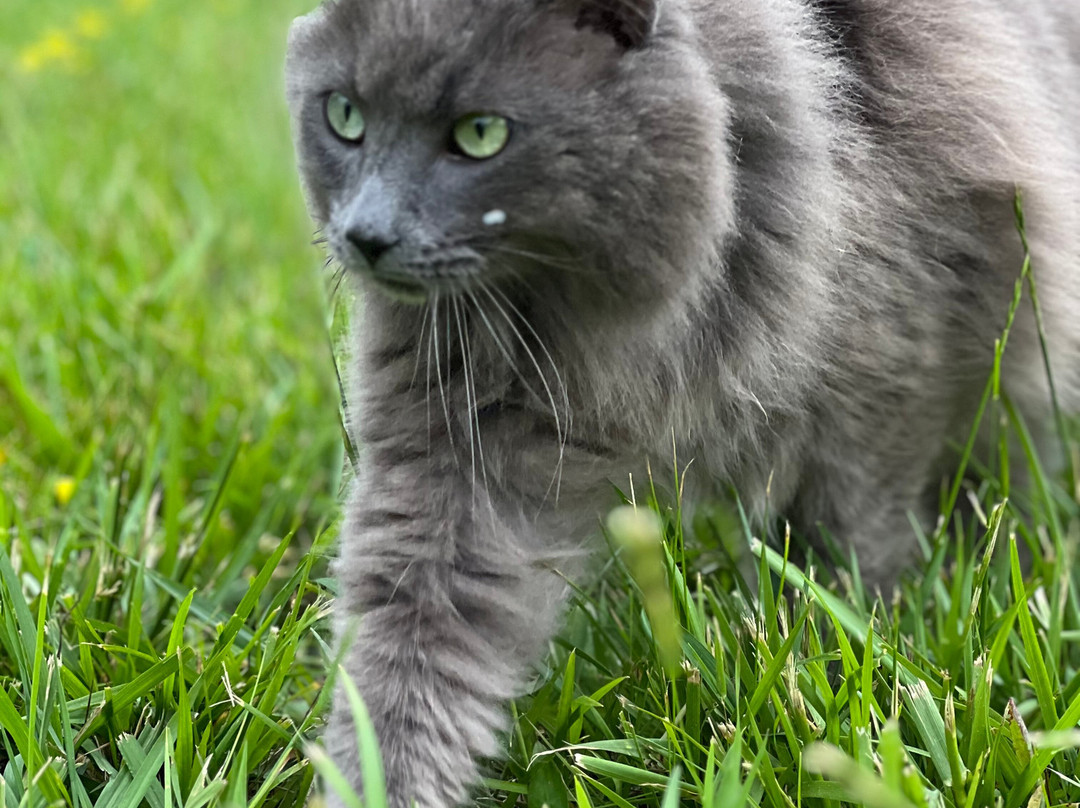 Inn at Celebrity Dairy主图