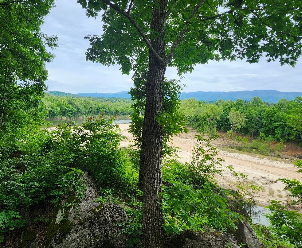 Nolichuckey Bluffs Cabins主图