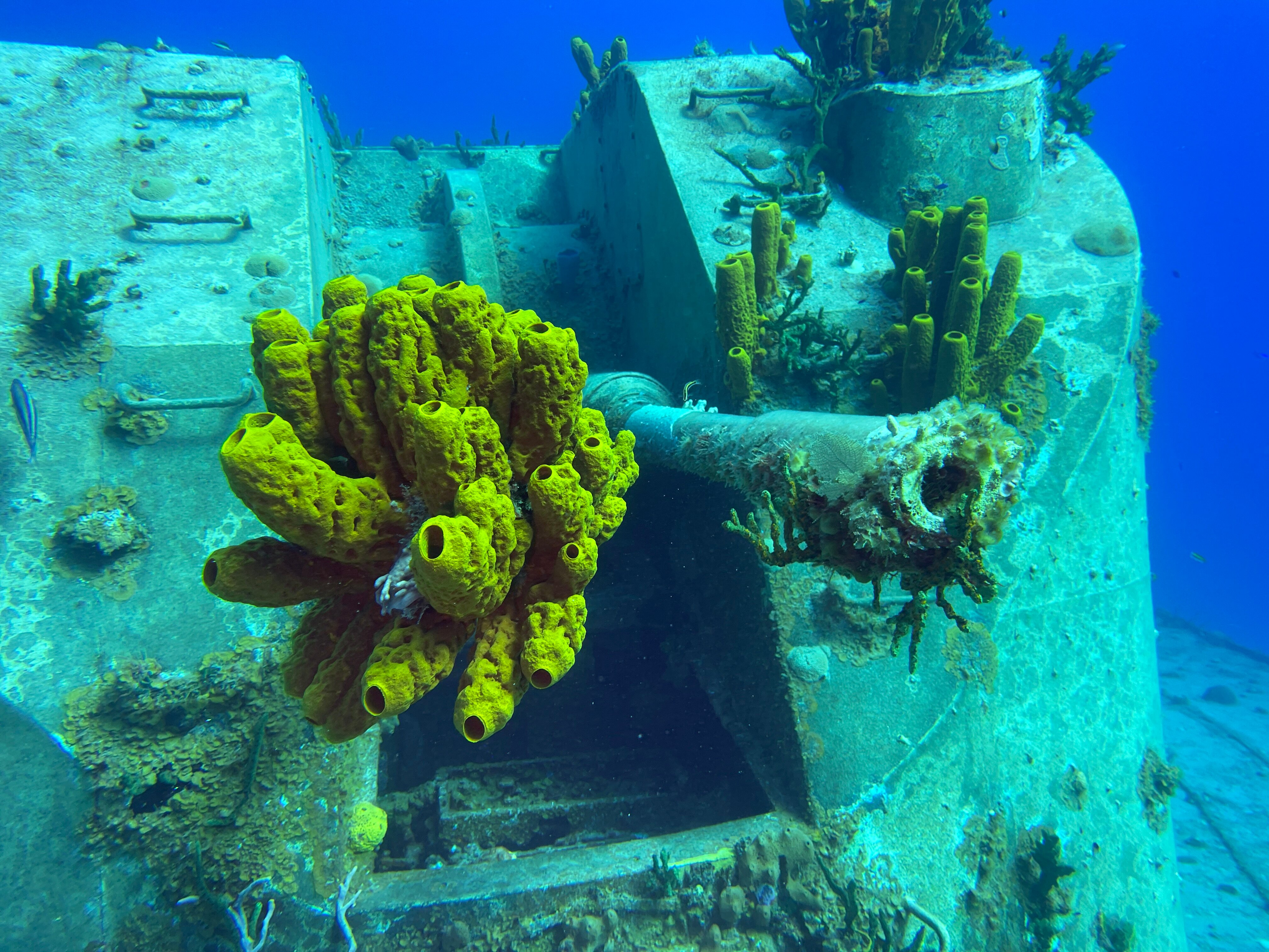Cayman Brac Beach Resort-官方